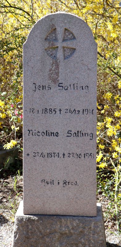Jens Salling.JPG